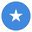 Home team logo