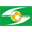 Home team logo