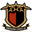 Home team logo