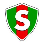 Спарта 1951 Шепетово
