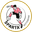 Home team logo