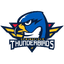 Springfield Thunderbirds