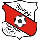 Away team logo