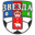 Home team logo