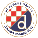 Home Team logo