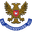 Home team logo