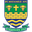 Home team logo