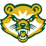 Мяч St. Vincent Bearcats