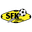 Home team logo