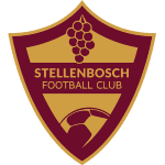 Стелленбос logo