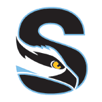 home team logo