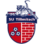 СВ Тильмич logo