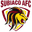 Home team logo