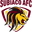 Home team logo