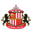 Home team logo