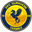 Home team logo