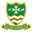 Home team logo