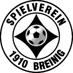 С.в. Брейниг logo