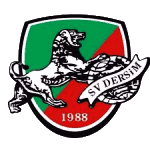 ФК Дерсим Рюссельсхайм logo