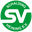 Home team logo