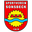 Home team logo