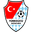 Home team logo