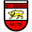 Home team logo