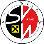 С. В. Вильдон logo