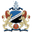 Home team logo