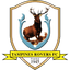 Тампинс Роверс logo