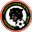 Home team logo