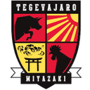 Away team logo