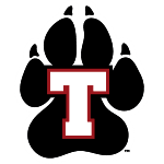 home team logo