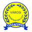 Тисафюред ВШЕ logo
