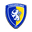 Home team logo