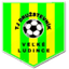 Tj Družstevník Veľké Ludince logo