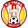 Home team logo