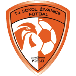 Сокол Живанице logo