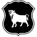 Away team logo