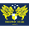 Home team logo