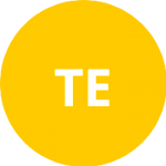 Требингер Э. logo