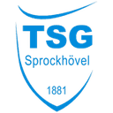 Home Team logo