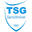 Home team logo