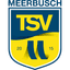 Меербуш logo