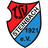 Tsv Штайнбах Хайгер logo