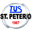 Home team logo