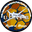 Home team logo