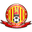 Home team logo