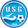 Home team logo