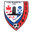 Home team logo